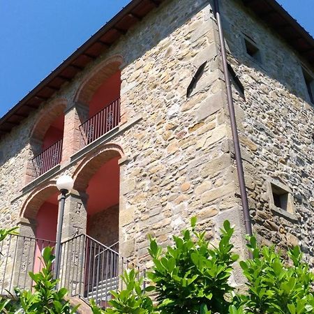 לינה וארוחת בוקר Camporgiano La Collina Dei Franchi מראה חיצוני תמונה